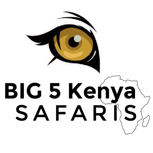 Big 5 Kenya Safaris